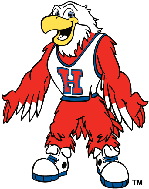 hartford hawks 1984-pres mascot logo diy fabric transfer fabric transfer 2